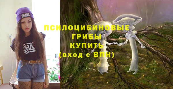 соль курить ск Алексеевка