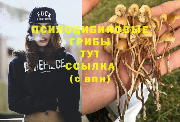 молекула духа Алексин