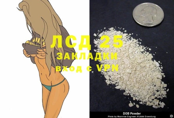 молекула духа Алексин