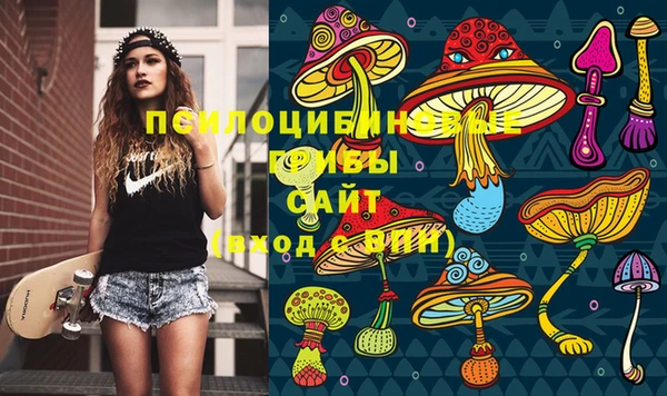 молекула духа Алексин