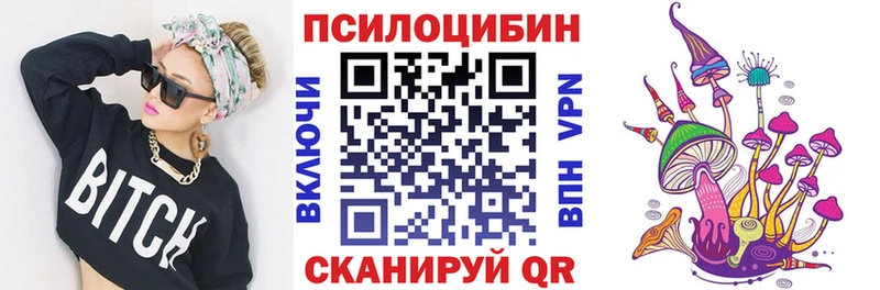 МЕГА как зайти  Курчалой  Галлюциногенные грибы Psilocybe 
